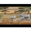 Tapete I Decorativi SAVANA von Tecnografica 77481-1