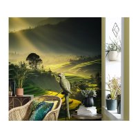 Fototapete JAVA 2530N-81