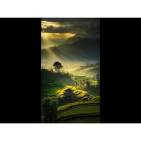 Fototapete JAVA 2530N-81