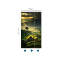 Fototapete JAVA 2530N-81