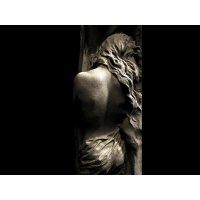 Fototapete Venus 2532N-81